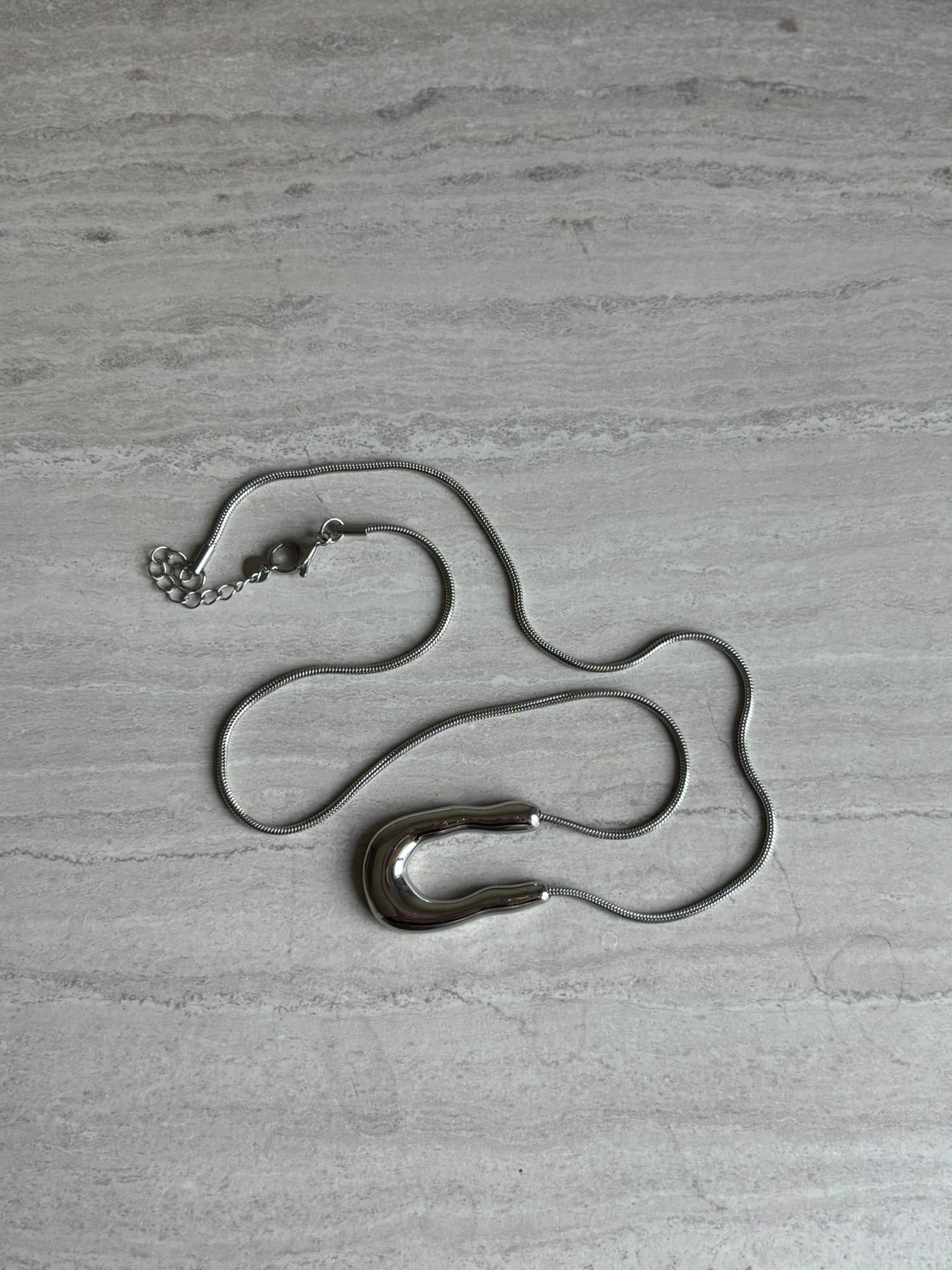 Organic Horse shoe necklace