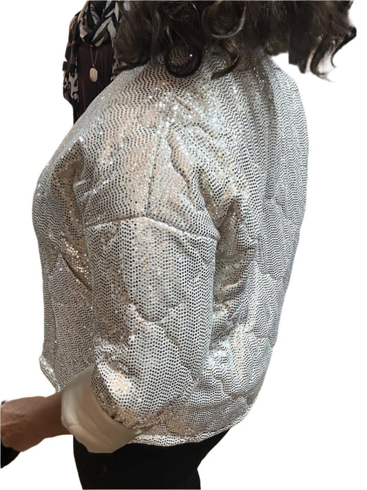 Silver Sparkly Jacket